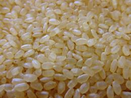 吉備王國の健康玄米(発芽直前玄米)15kg(1kg袋×15入)